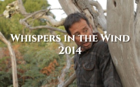 Films 2014