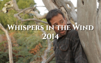 Films 2014